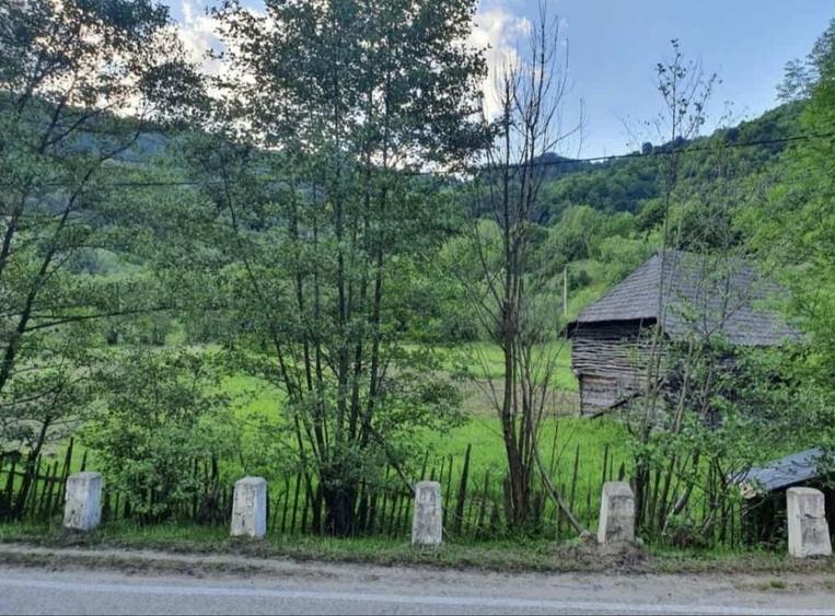 Teren intravilan Malaia - 6