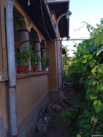 Casa comuna Giubega 45km craiova - 1