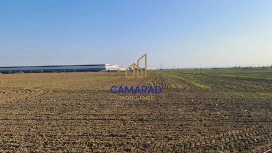 Teren intravilan de vanzare - zona industriala Domnesti/A1 - 2