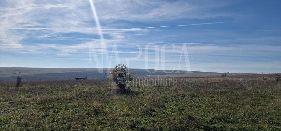 Teren agricol extravilan de 493170 mp, în Iris