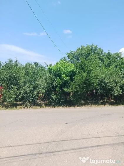 Casă cu 4 camere în Izvoarele