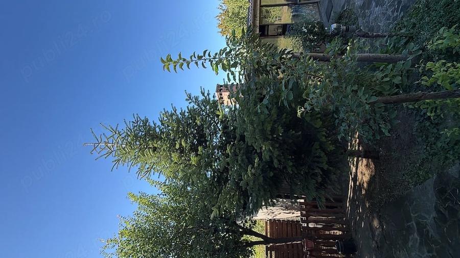 Casă cu 5 camere cu Teren 1000 Mp în Central