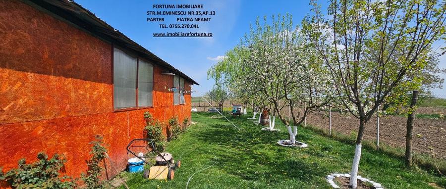 Proprietate Slobozia-Roznov, casa mansardata, teren si livada - 15