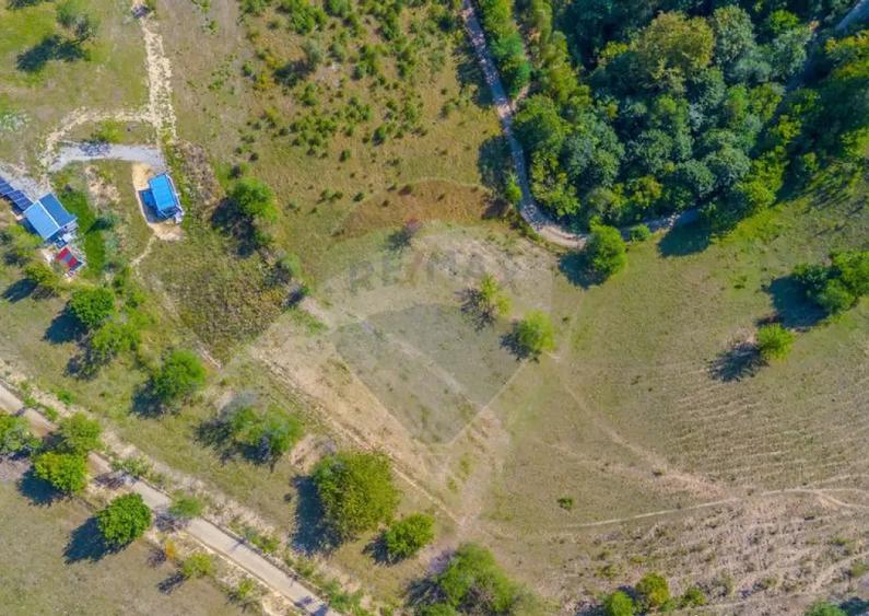 Teren extravilan 6,014mp | Holbav | BRASOV | COMISION 0| - 9