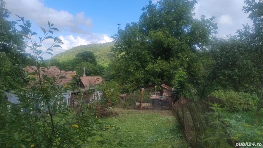 casa de vanzare satu nou 12km din tg Mure? - 1