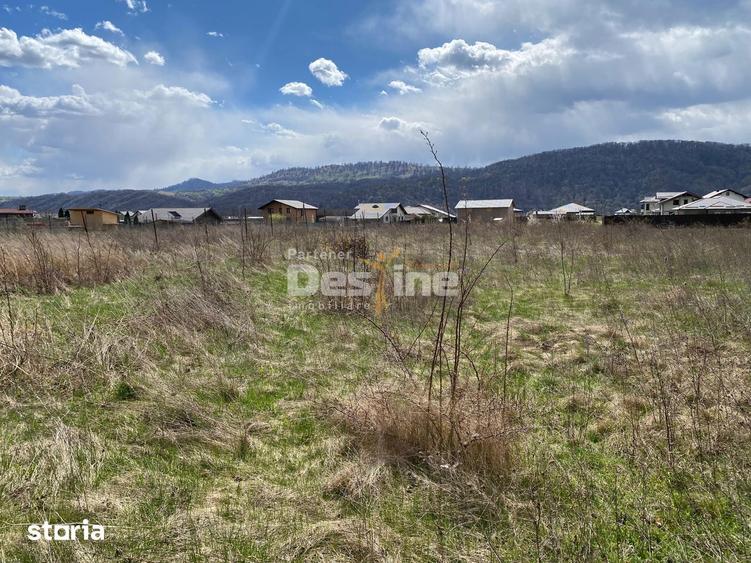 Teren de vanzare Dumbrava Rosie 20.000 Euro 900mp - 15
