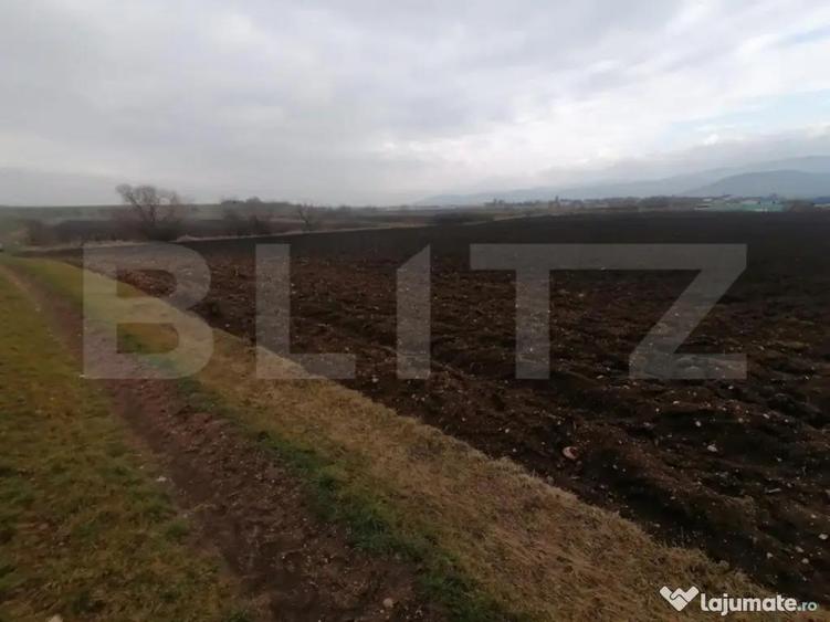 Teren extravilan 21300 mp zona Vintu de Jos - 2