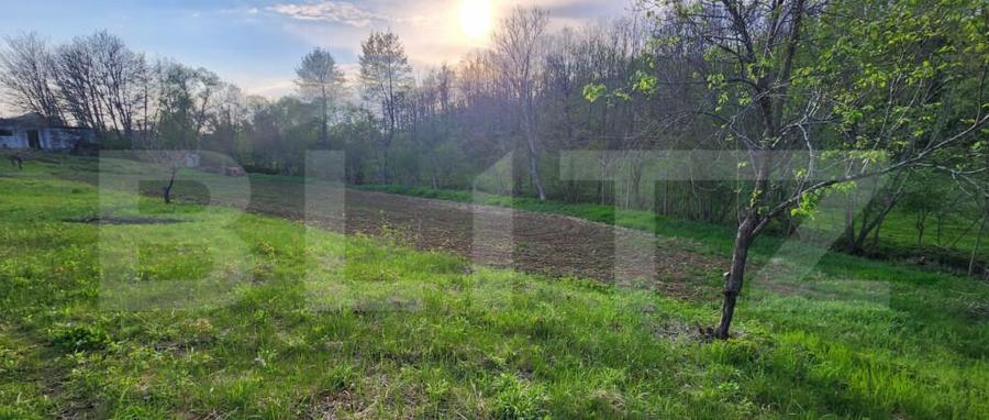 Teren 6650 mp, cu casa nefinalizata de 111 mp, in Nisipoasa - 8