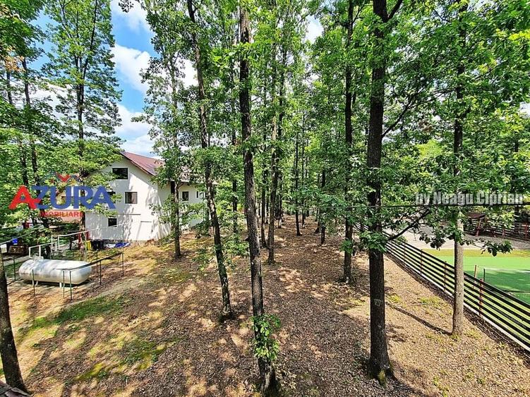 Casă de vacanță în pădure, 10 km de Pitești - Babana - 20