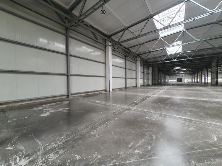 Hala 2400 mp, 4,50 e/mp - 2