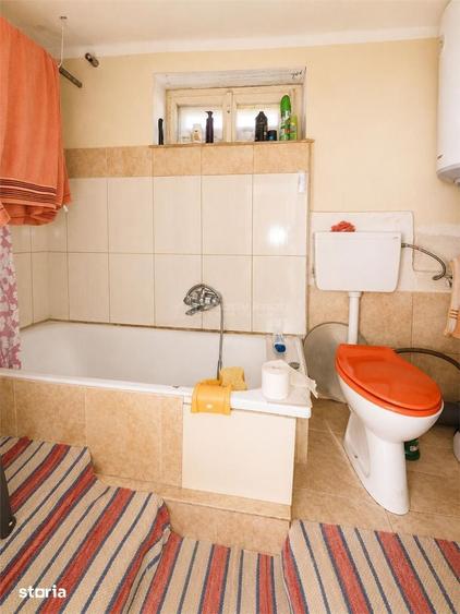 Casa generoasa de vanzare la tara - 11