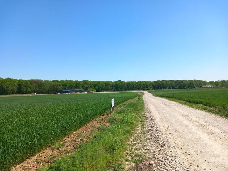 Teren intravilan 1850m - 7