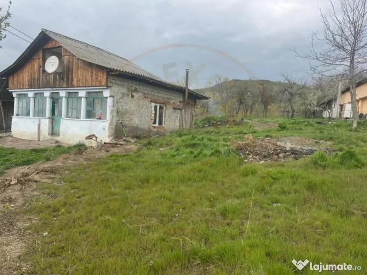 Teren intravilan 2.200 mp cu constructie existenta Caline - 5