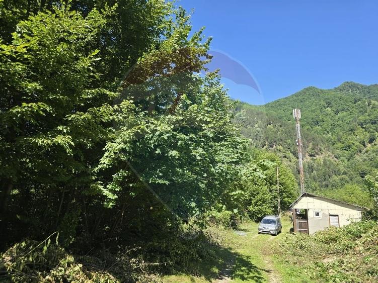 Teren 4,000mp Pascoaia / Soseaua Punctul Chiliilor - 5