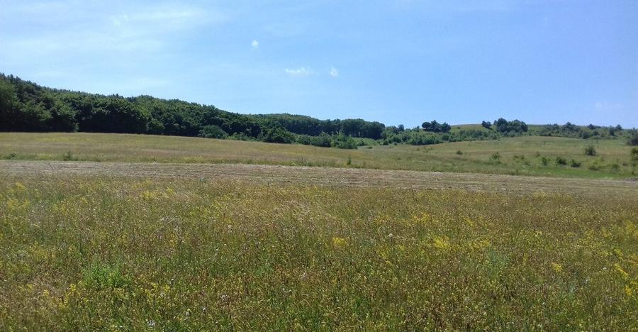 Vand teren intre Popesti si Corusu(jud. Cluj),in apropierea padurii - 5