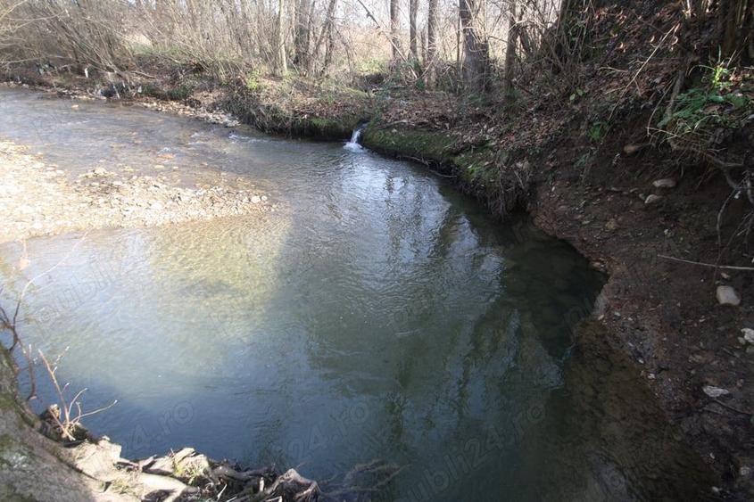 Proprietar vand casa de vacanta in Muntii Poiana Ruscai - 8