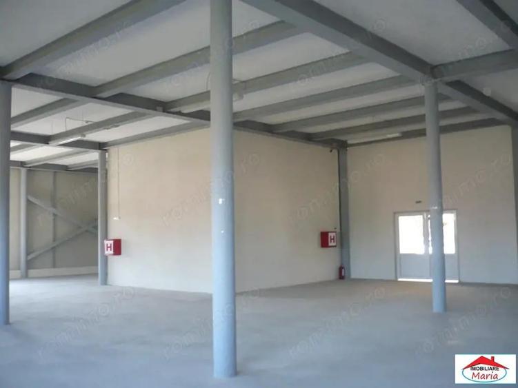 Hala de productie depozitare Satu Mare 1880 mp - 10