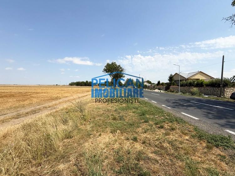Teren intravilan M. Kogalniceanu, 4000MP, la drumul national - 1