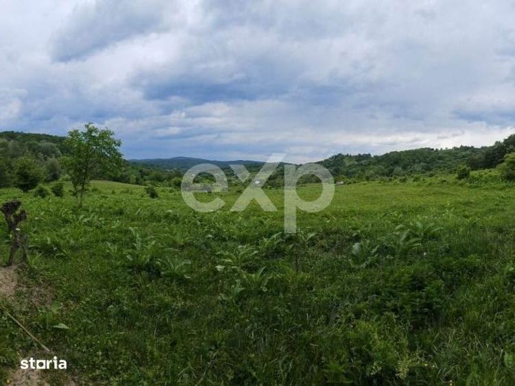 Teren 11,935mp Margineni / Strada Dubas - 3