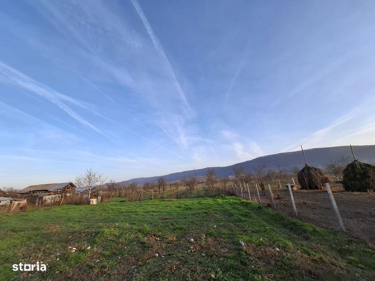 4.443 mp pozitionati direct la DJ678A, cu 39,57 m front stradal . - 4