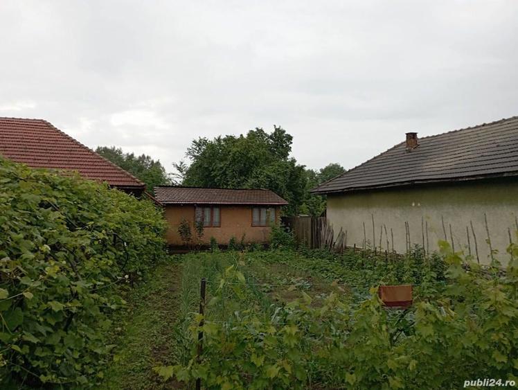 Vanzare casa situata in comuna Pestisani - Sat Borosteni, Jud. Gorj - 6