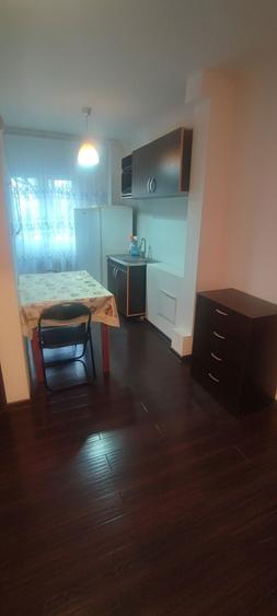 Ofer spre inchiriere garsoniera Valea Rosie - 2