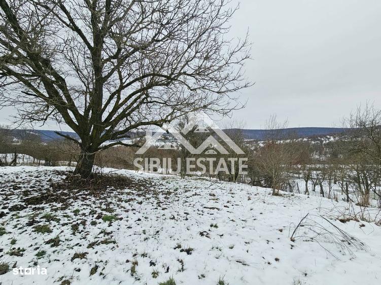 Casa Sibiu la Nucet teren 2317mp - 7