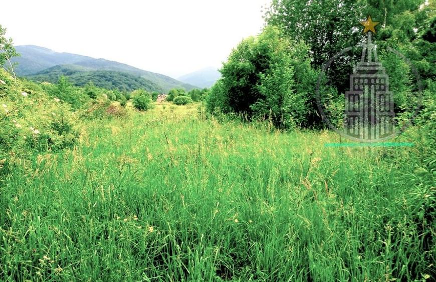 Teren extravilan  potențial turistic ridicat – Dejani, Recea, Munții Făgăraș - 7
