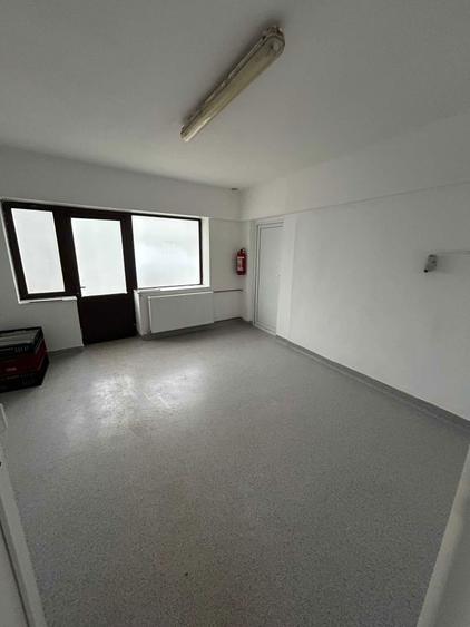 Inchiriez casa P+1E cu Hala 1667 mp Teren- 27FS in zona Mehala - 8