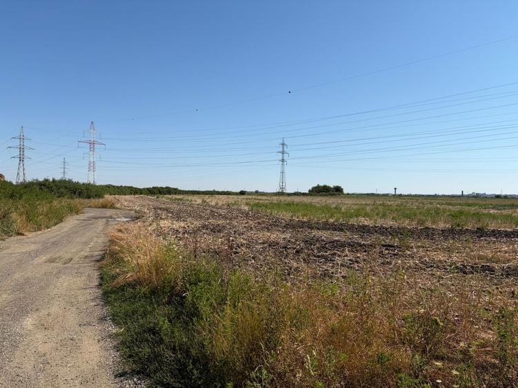 Teren agricol extravilan de 35000 mp, în Exterior Vest