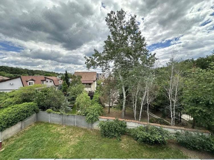 Vila Mogosoaia la padure si DN.