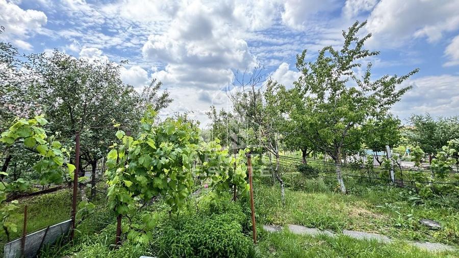 Casa spatioasa, teren 1348 mp, Giarmata - 15