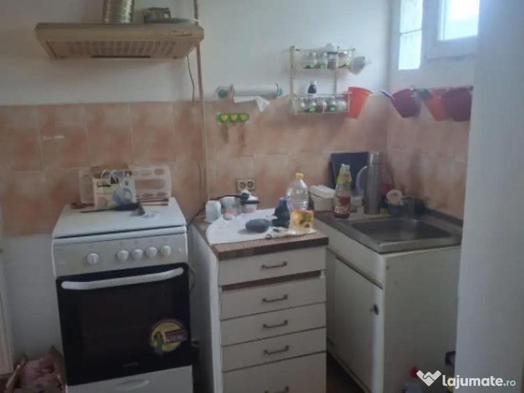 Casa individuala, 125 mp, zona Pictor Rosenthal - 13