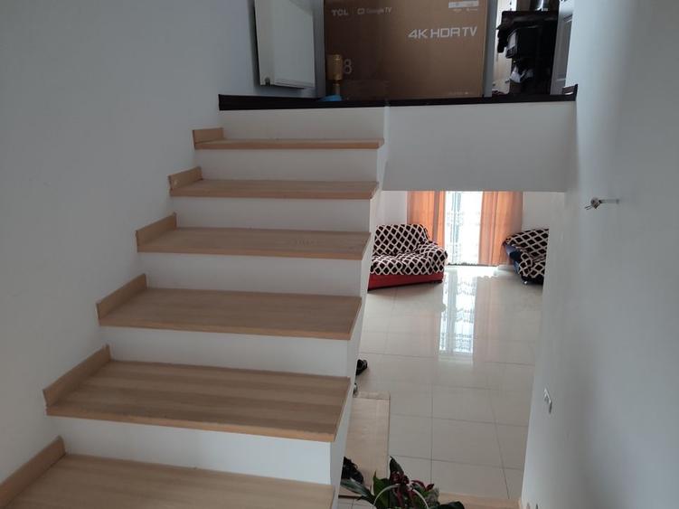 Sanandrei, Spurafete generoase, drum asflatat - 11