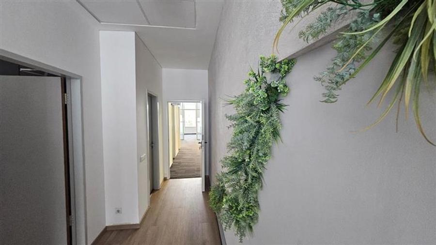 Inchirieri birouri in Swan Office Park - 7