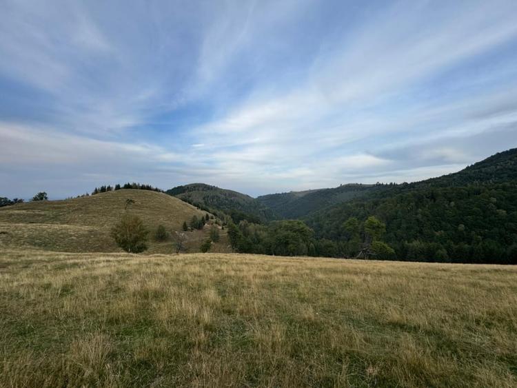 Teren Extravilan de Vânzare în Păltiniș - Oportunitate Excepțională Investiții! - 4