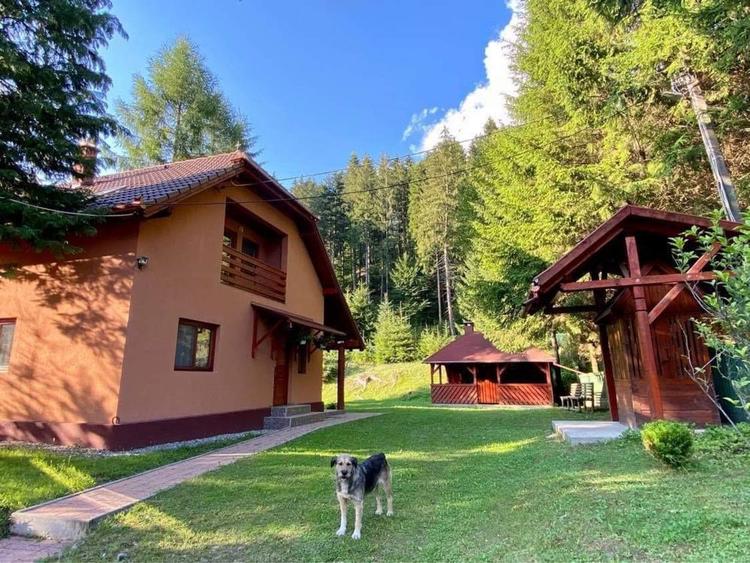 Cabana de inchiriat - 7