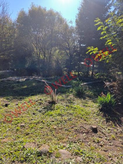 De vânzare casă de vacanță și teren intravilan în Sovata! - 2