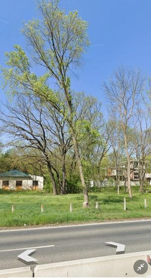 Teren intravilan 1.014 mp | Valu lui Traian | P+4E | Forest M - 2