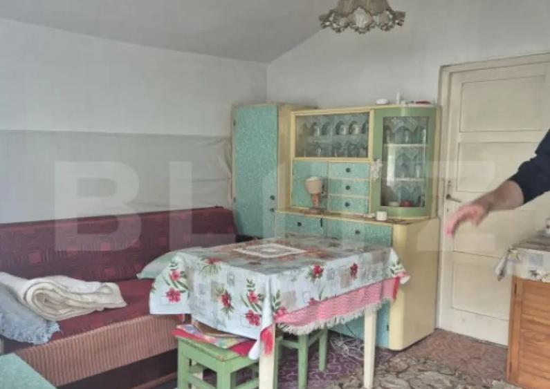 Casa de vanzare in Sancraiul de Mures 1260 mp teren - 11