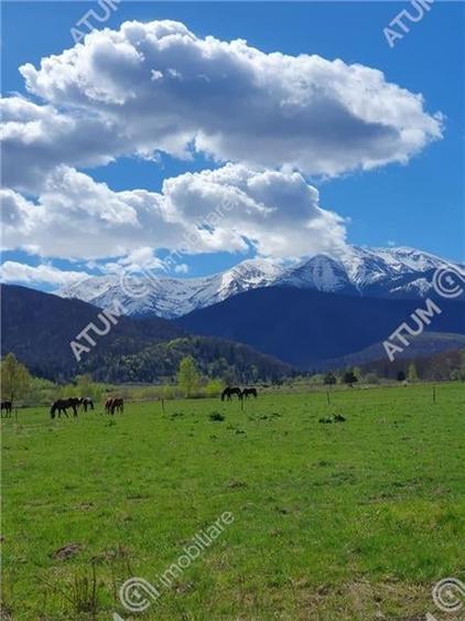 Teren intravilan 1000 mp de vanzare in Avrig zona Valea Avrigului - 2