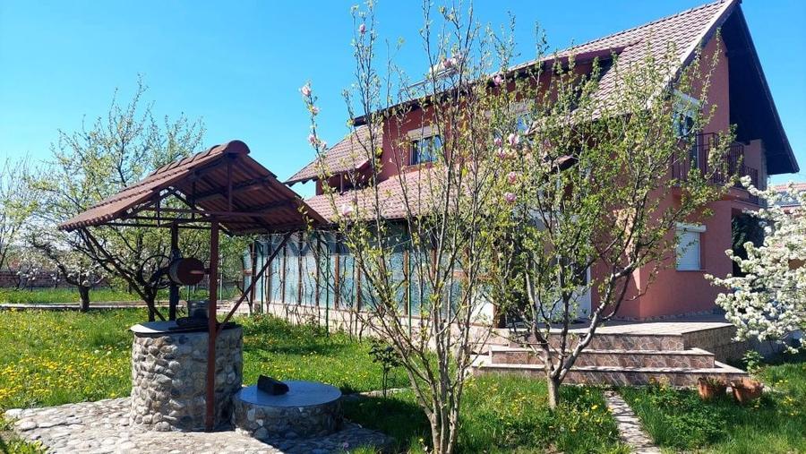 Casa de vanzare P+M zona Budesti Valcea - 1