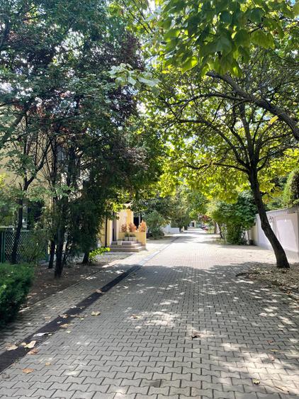 Iancu Nicolae vila 5 dormitoare gradina matura - 3