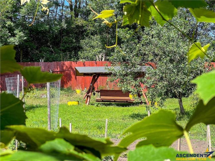 Casa primiroate in decor valoros si rodnic teren de 850mp, Ilieni, Covasna: FILM! - 12