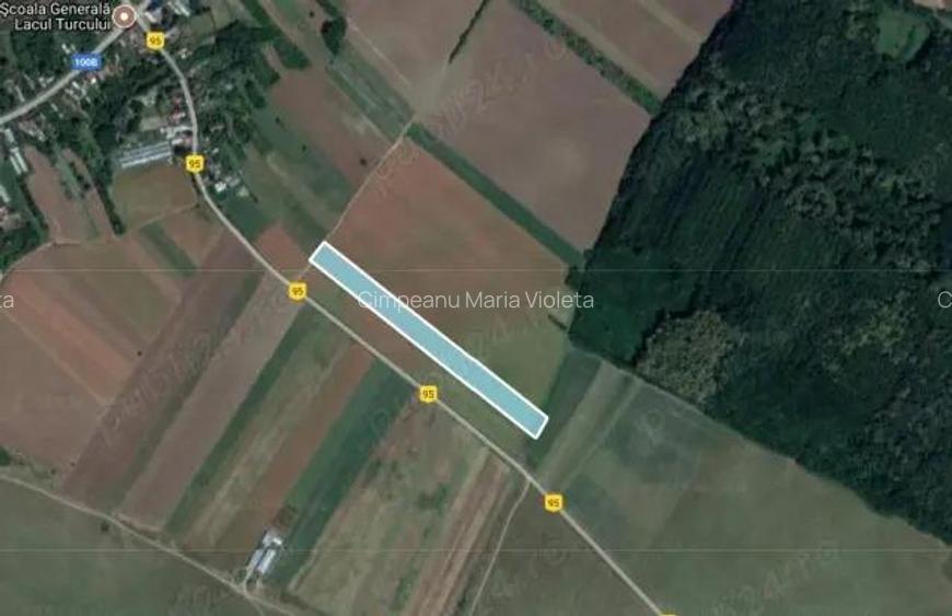 Teren de vanzare in Comuna Balta Doamnei, deschidere 15ml, 6569mp, 78.828euro Teren de vanzare in Comuna Balta Doamnei, deschidere 15ml, 6569mp, 78.828euro
