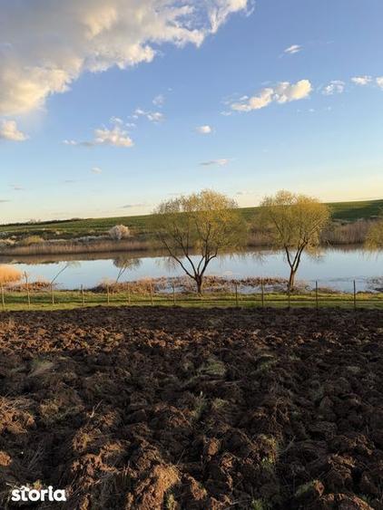 Teren de vanzare Walter Maracineanu Comuna Iepuresti judet Giurgiu - 5
