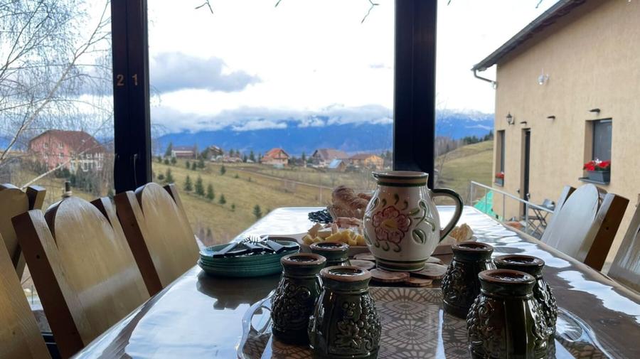 Oportunitate de investitie - pensiune de vanzare Moieciu de Jos - 7