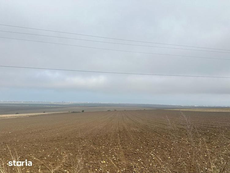 De vanzare teren com. Sarata, Bacau - 2500mp - 4