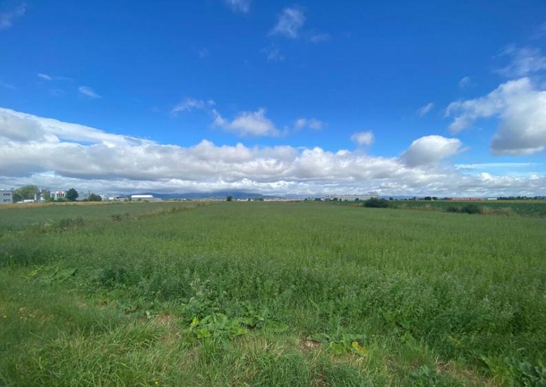 Teren extravilan, 7000mp, Cristian - 1