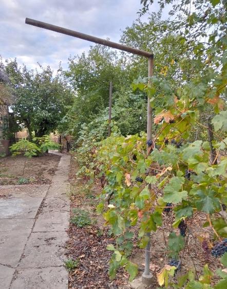 Casă individuală cu 3 camere cu Teren 7089 Mp în Valea Nicovani